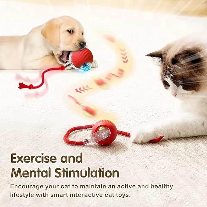 2 PCS Interactive Cat Toy Rolling Ball Chewie Viral Dog Ball, Smart Automatic - Image 4