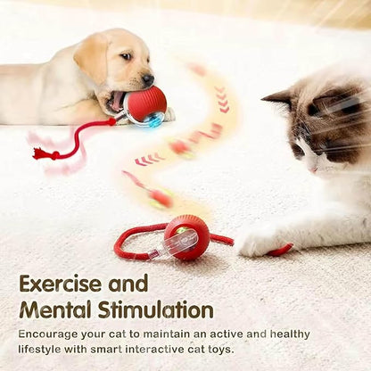2 PCS Interactive Cat Toy Rolling Ball Chewie Viral Dog Ball, Smart Automatic - Image 4