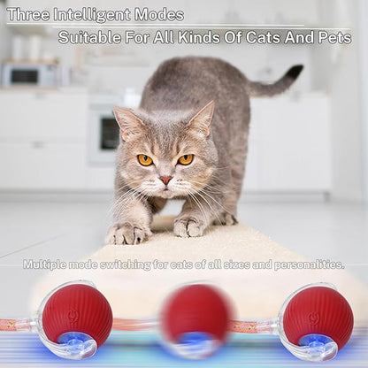 New Upgraded Cat Ball Toy - Image 5
