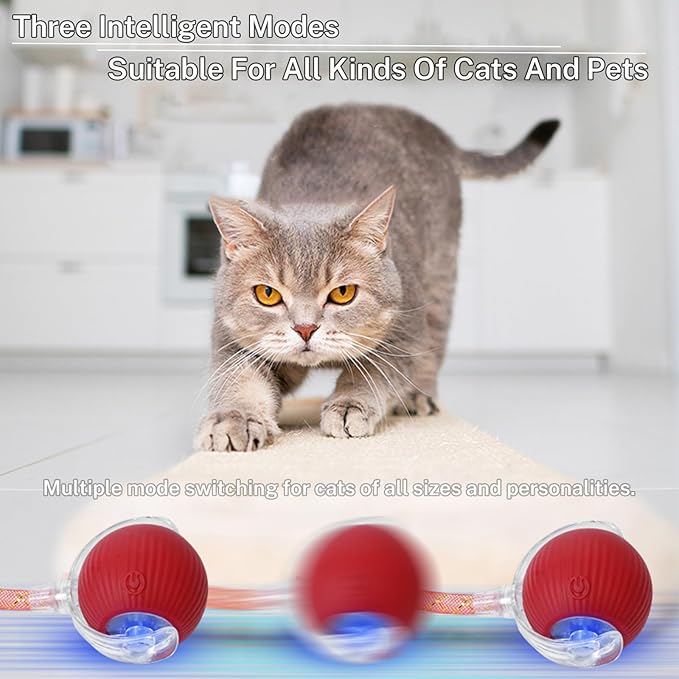 New Upgraded Cat Ball Toy - Image 6