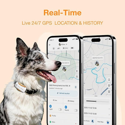 Next-GEN Smart GPS Tracker for Dogs Real-Time Location Tracking - Image 2