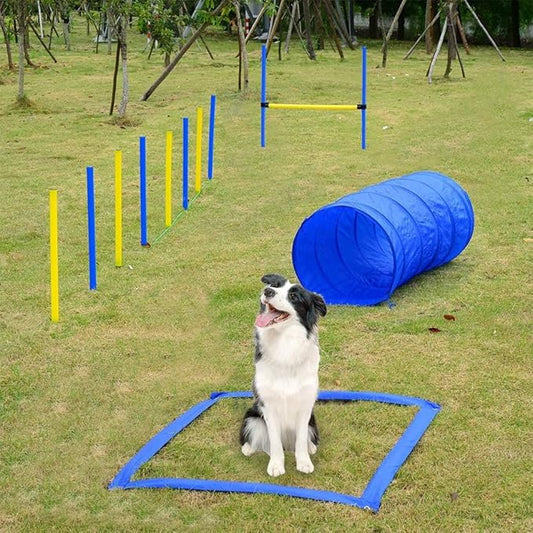 PAWISE Dog Agility Training Equipment, Complete Dog Obstacle Course Kit - Image 2