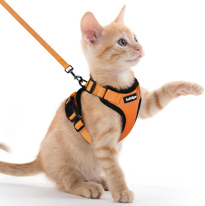 rabbitgoo Cat Harness and Leash by rabbitgoo