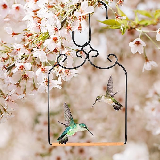 2 Pack Hummingbird Swings and Perches Metal Frames - Image 4
