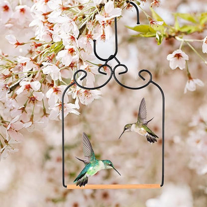 2 Pack Hummingbird Swings and Perches Metal Frames - Image 4