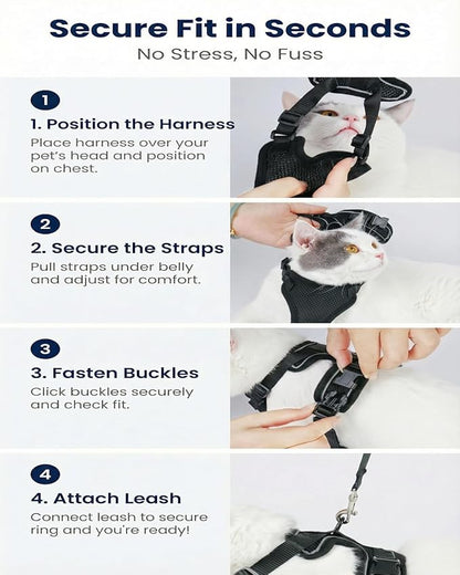 Luxelle 2 Pack Escape-Proof Cat Harness and Leash Set - Image 5