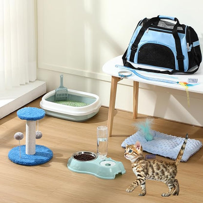 Eccliy Kitten Starter Kit, Pet Toy, Folding Carrier, Climbing Frame, Automatic - Image 2