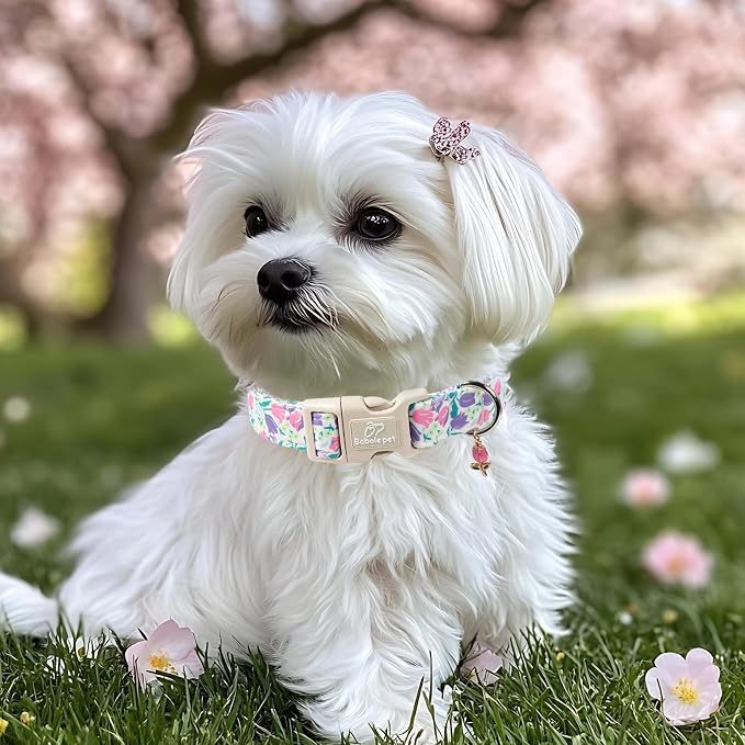 Floral Dog Collar for Large Dogs - Image 5