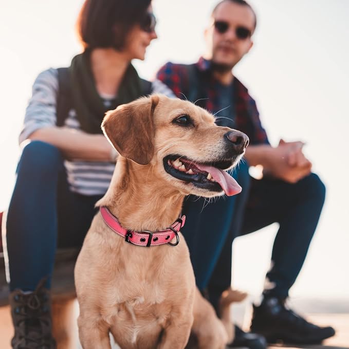 Fida Heavy Duty Dog Collar, Ultra Comfortable Soft Neoprene Padded, Adjustable - Image 8