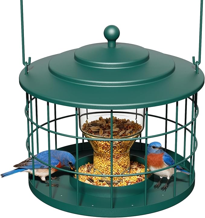 Squirrel Proof Bird Feeder, Metal Cage Bird Feeder by Birdream