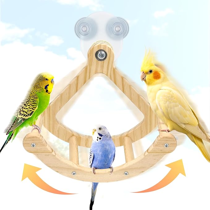 Rocking Bird Toys Perch for Window and Cage, Bird Perch for Wall Suction Mount by Jevnd