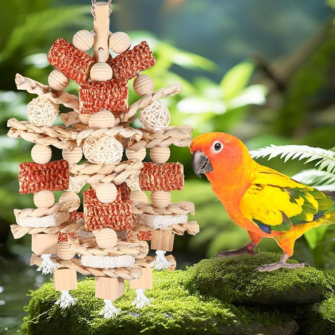 Bird Toys - Natural Corn Cob and Loofah Slices - Image 4
