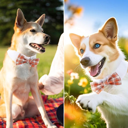 Segarty Dog Bow Tie, Adjustable Orange Plaid Bowtie Collar - Image 4