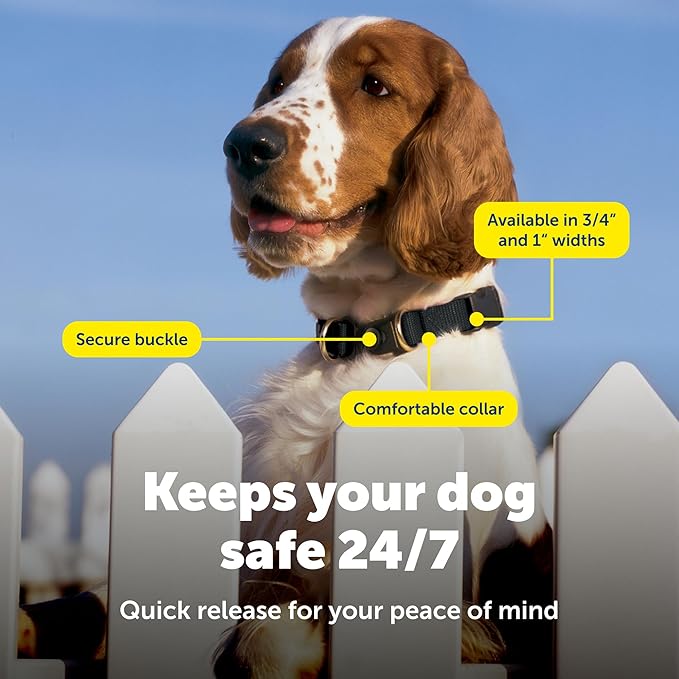 PetSafe KeepSafe Break-Away Safety Collar - Image 4