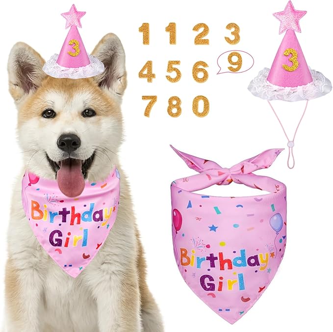 Dog Birthday Bandana Set, Dog Birthday Party Supplies, Puppy Boy Girl Birthday by Yicostar