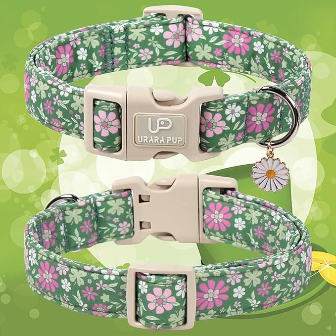 St. Patrick's Day Dog Collar, UP URARA PUP Shamrock Adjustable Pet Collar - Image 2