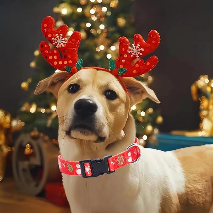 Christmas Dog Collar with Buckle Adjustable Safety Nylon Collars - Image 5