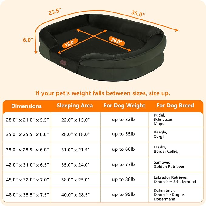 Dwanton Orthopedic Dog Bed for Medium Dogs - Image 4