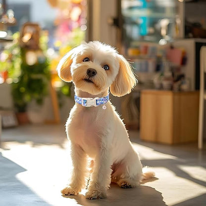 Floral Dog Collar for Large Dogs - Image 5