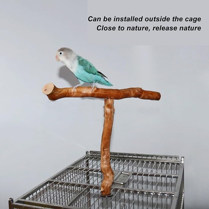 Asixxsix Wood Bird Perch, T Shaped Birdcage Stand Wooden Parrot Perch Stand - Image 2