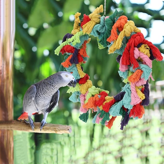 Bird Colorful Cotton Rope Hanging Ring Parrot Preening Grooming Chew Climb - Image 3