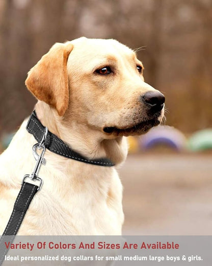 Reflective Dog Collar with Buckle Adjustable Safety Nylon Collars - Image 7