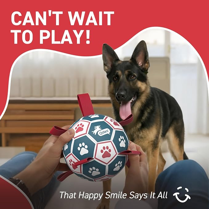 QDAN Extra Large Soccer Ball - Image 9