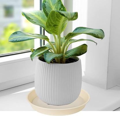 4 Pack of 14 inch Plant Saucers Bird Bath Bow Round, Plastic Plant Saucer Tray - Image 4