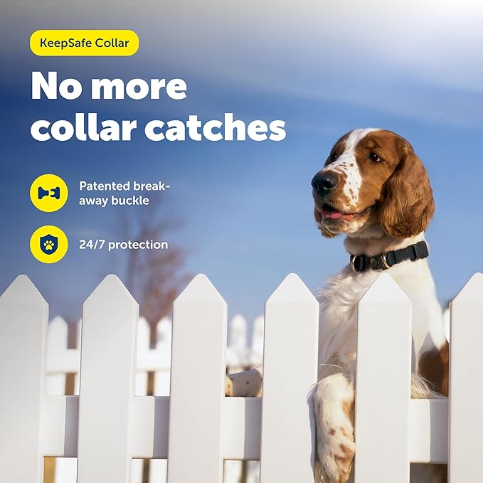 PetSafe KeepSafe Collar for Dogs - Image 2