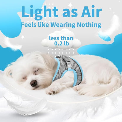 AIITLE Easy Walk Dog Harness and Leash Set - Image 4