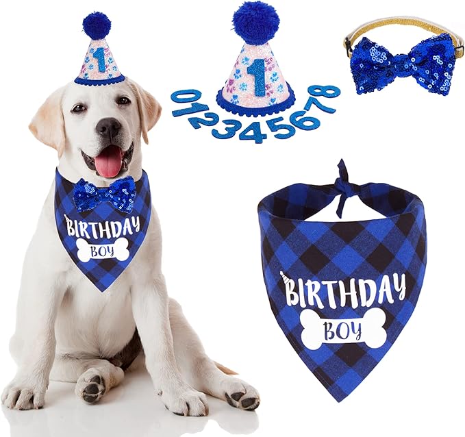 ADOGGYGO Dog Birthday Party Supplies, Pet Party Hat by ADOGGYGO