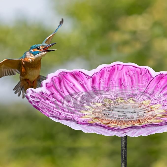 MUMTOP Glass Bird Baths for Outdoors, 12 Inch Bird Bath Bowl - Image 5