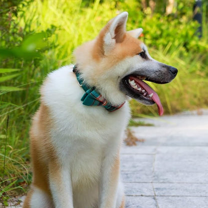 Faleela Cute Soft Girl Christmas Dog Collar - Image 4