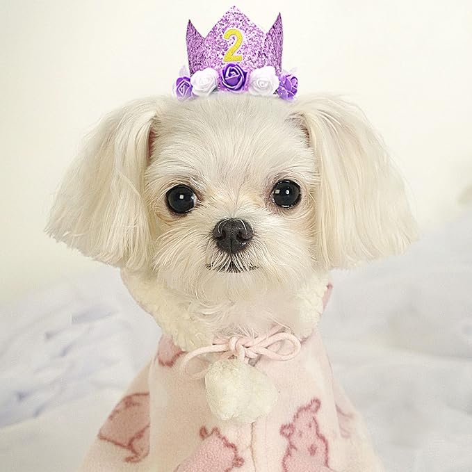 PET SHOW Purple Crown Dog Birthday Party Hat - Image 7
