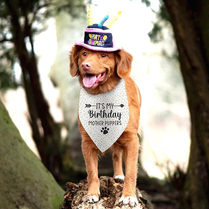 It's My Birthday Mother Puppers White Dog Bandana Birthday Gifts - Image 5