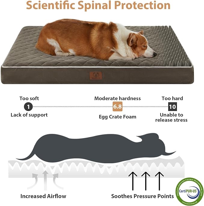 WNPETHOME Orthopedic XL Dog Bed - Image 3