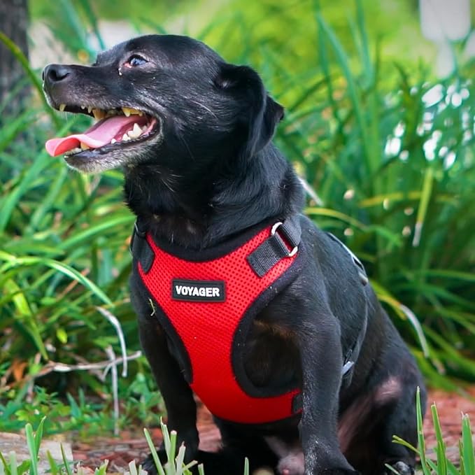 Voyager Step-in Pet Harness - Image 8
