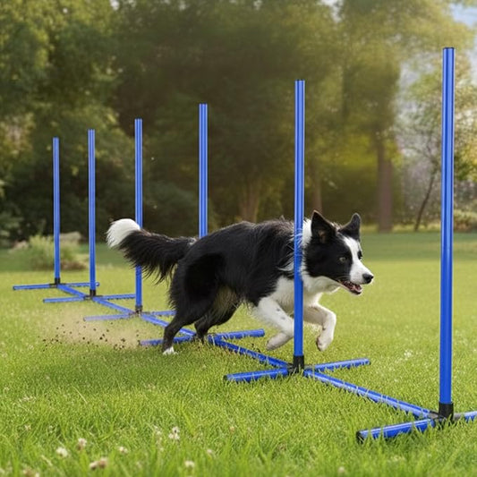 6 Weave Poles & 2 Hurdle Dog Agility Set, Indoor & Outdoor Training Equipment by MAICOBI