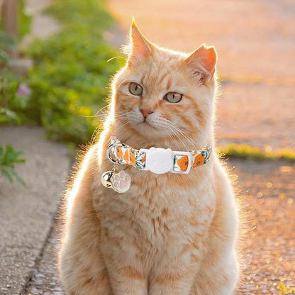 Unique Style Paws Fall Kitten Collar, 2 Pack Orange Cat Collar - Image 5