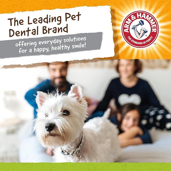 Arm & Hammer for Pets Nubbies Duality Bone Dental Dog Toy - Image 6