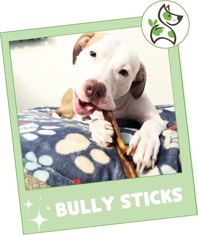 Nature Gnaws Bully Sticks for Dogs 5-6" - Image 7