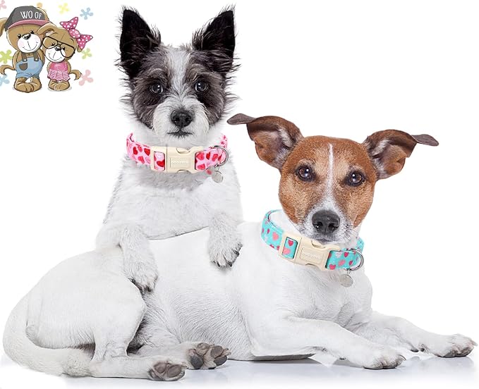 DOGWONG Valentine's Dog Collar - Image 4