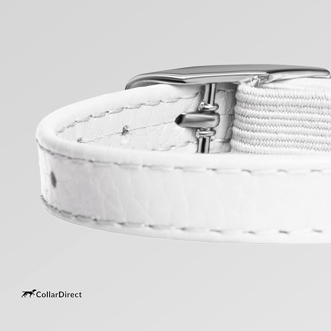 CollarDirect Leather Cat Collar, Cat Safety Collar - Image 3