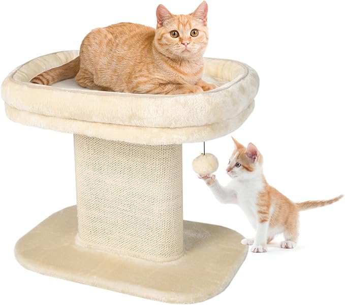 Tangkula Cat Tree for Indoor Cats, 2-Tier Cat Tower by TANGKULA