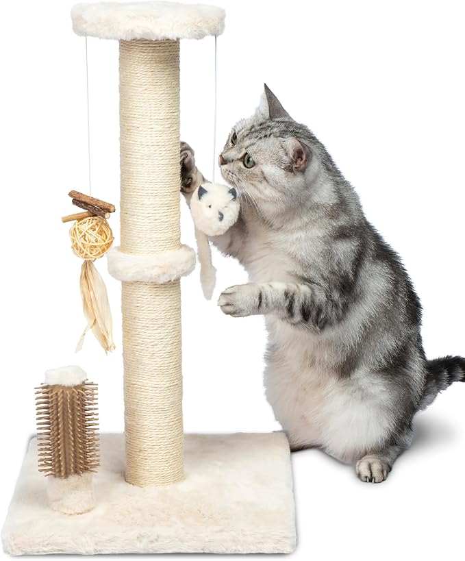 Best Pet Supplies Catify Cat Scratcher, Fun Interactive Scratchers, Claw Safe by BestPetSuppliesLLC