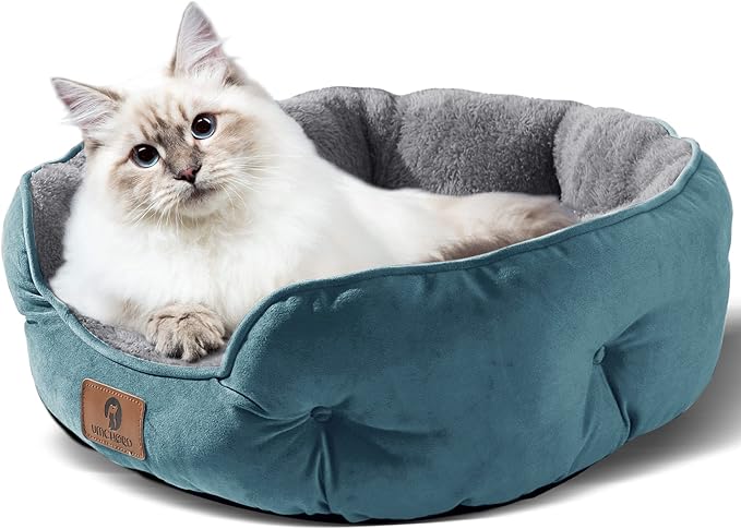 Asvin Small Dog Bed for Small Dogs, Cat Beds for Indoor Cats, Pet Bed for Puppy - Image 2