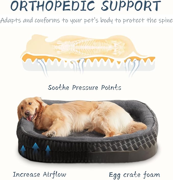 Orthopedic Dog Bed for Medium, Large Dogs Breeds, High Density Egg Crate Foam - Image 2