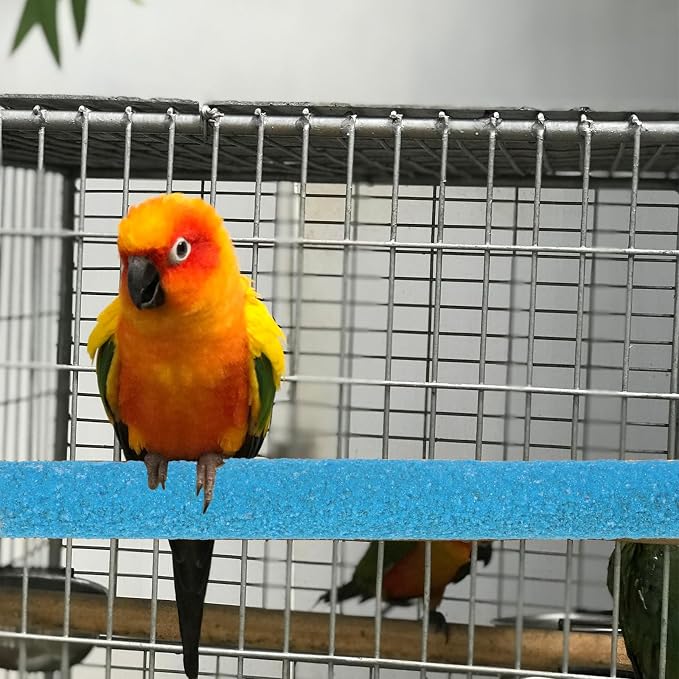 Bird Perches for Cage - Image 6