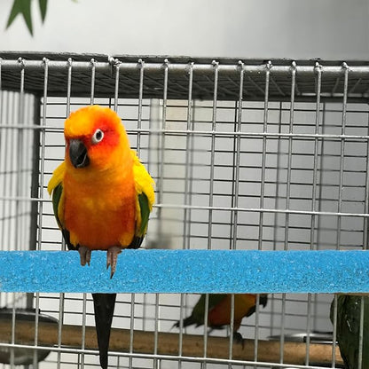 Bird Perches for Cage - Image 6