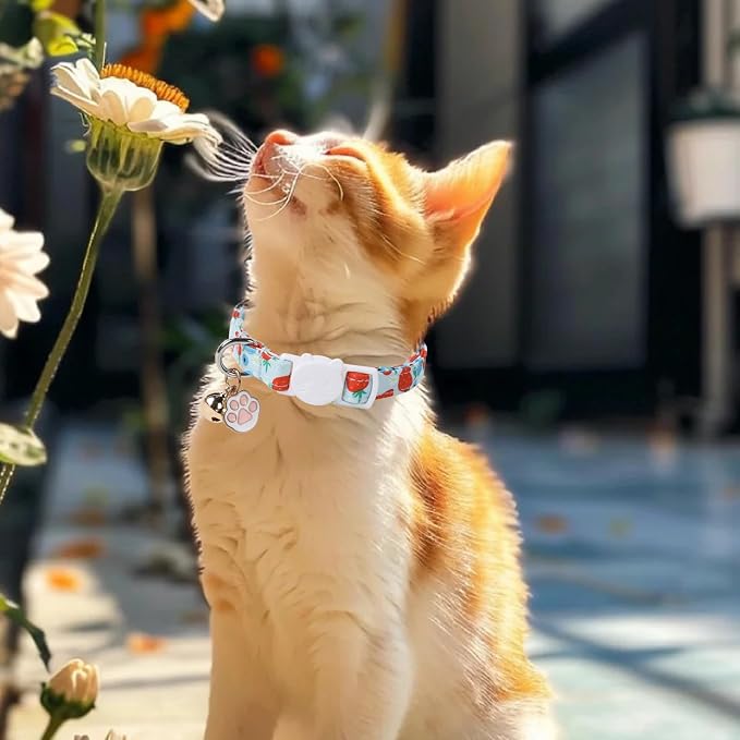 Unique Style Paws Kitten Collar, Cute Cat Collar - Image 6